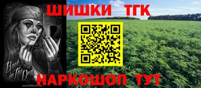 эйфоретик Гатчина