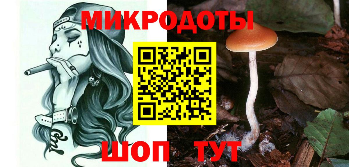 Галлюциногенные грибы Psilocybine cubensis Брянск